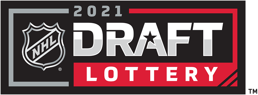 NHL Draft 2021 Misc Logo DIY iron on transfer (heat transfer)